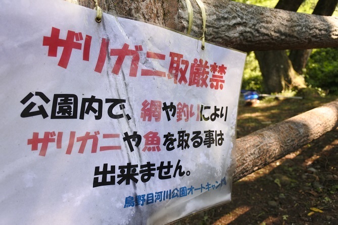 鳥野目河川公園の水路に潜む者 ウチダザリガニ 釣りキチ マチャの 御当地怪魚録