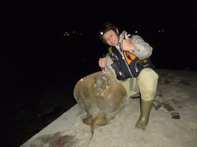 砂浜の重戦車 アカエイ 釣りキチ マチャの 御当地怪魚録